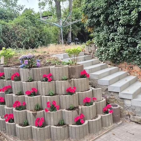 Stella 3* Lutherstadt Eisleben