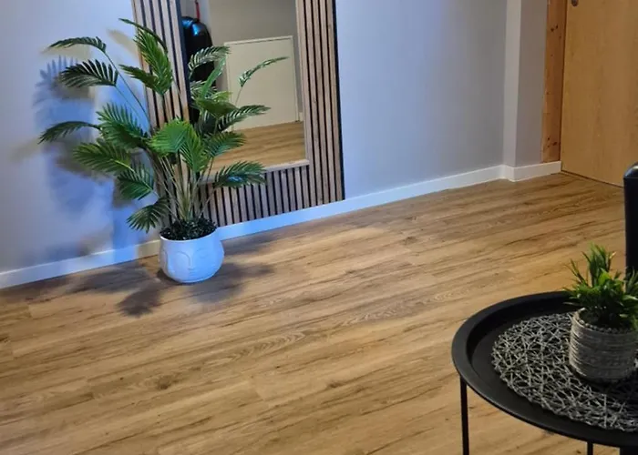 Stella Guest house 3*