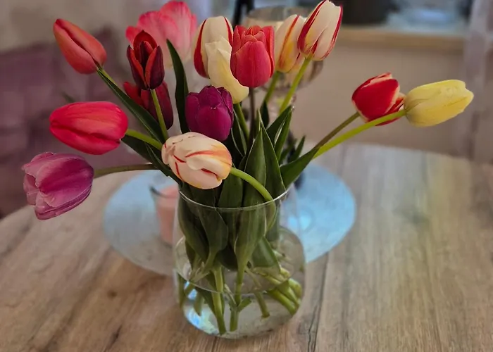 Stella Gasthuis Lutherstadt Eisleben